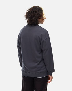 Толстовка ANTEATER Crewneck-Grey-Black-Logo