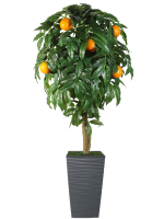 Искусственное дерево Апельсин 150 см в высоком кашпо графит 46 см