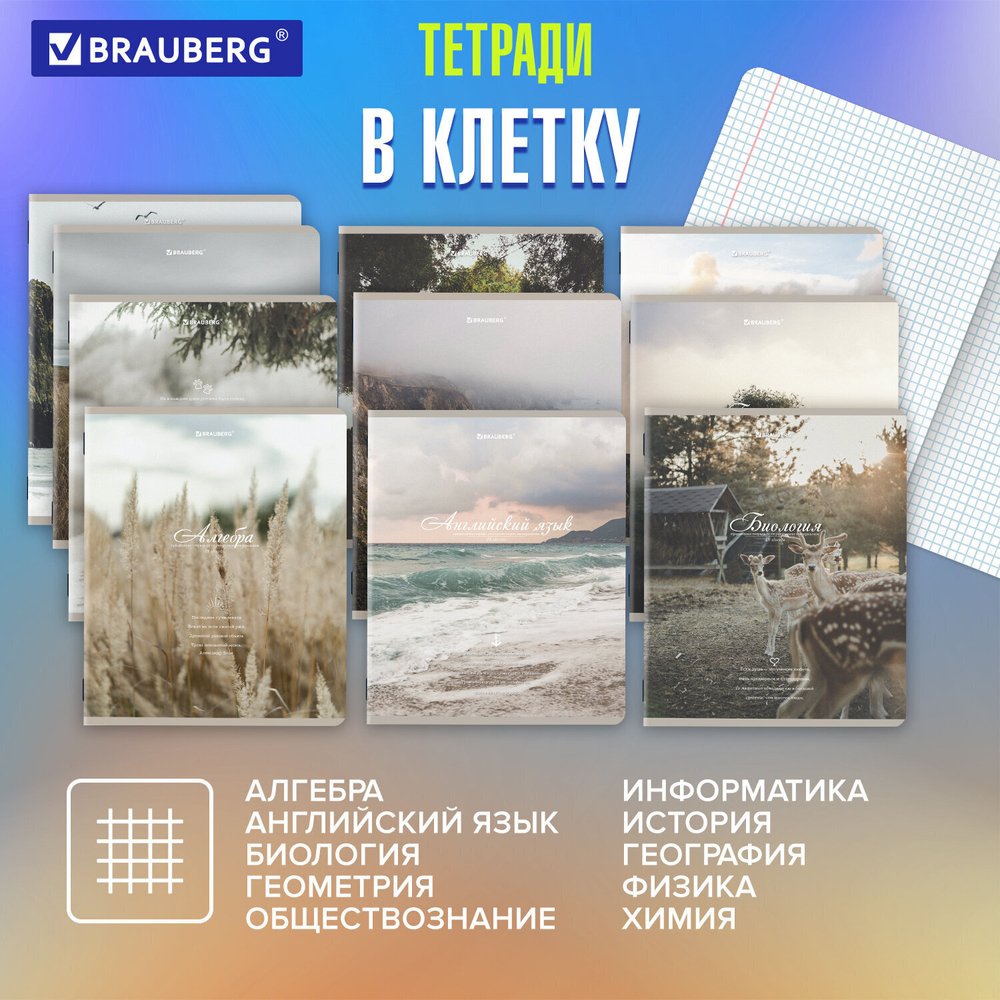 Тетради предметные комплект 12 ПРЕДМЕТОВ 48 л. SoftTouch BRAUBERG "ESTHETICS" (2 штуки в упаковке)