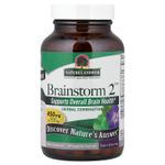 Nature's Answer, Brainstorm 2™, смесь трав, 90 вегетарианских капсул