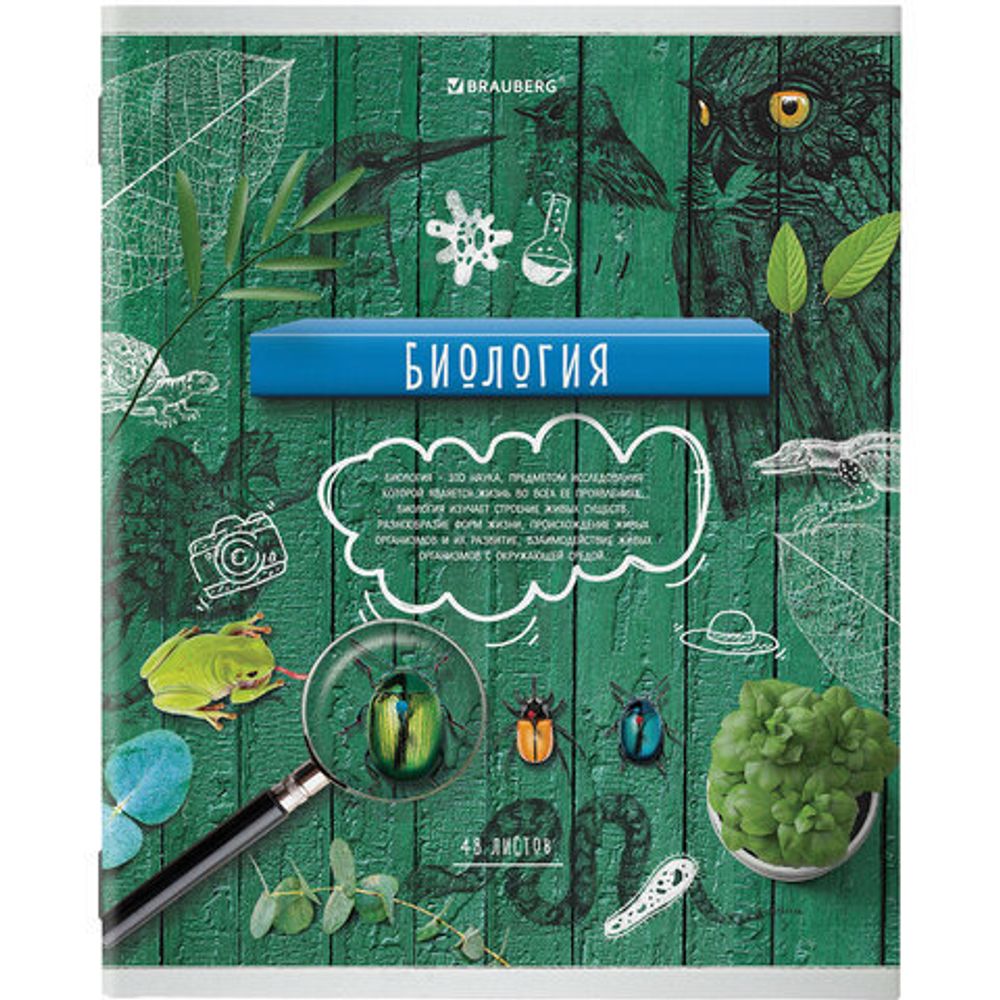 Тетради предметные, КОМПЛЕКТ 10 ПРЕДМЕТОВ, "COLLAGE", 48 листов, TWIN лак, BRAUBERG, 404030