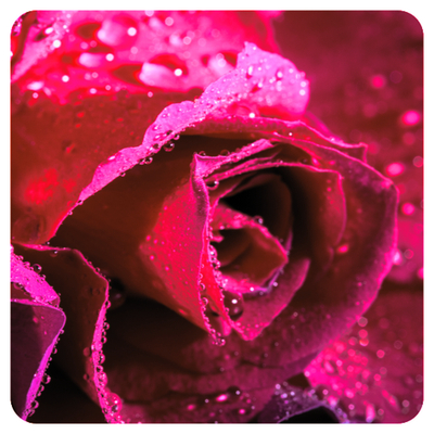 Практический Вебинар-Интенсив «Сила Открытого Сердца»