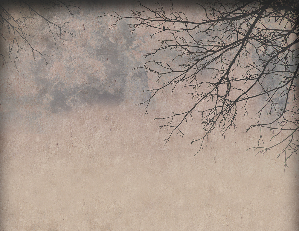 Коллекция VETVE