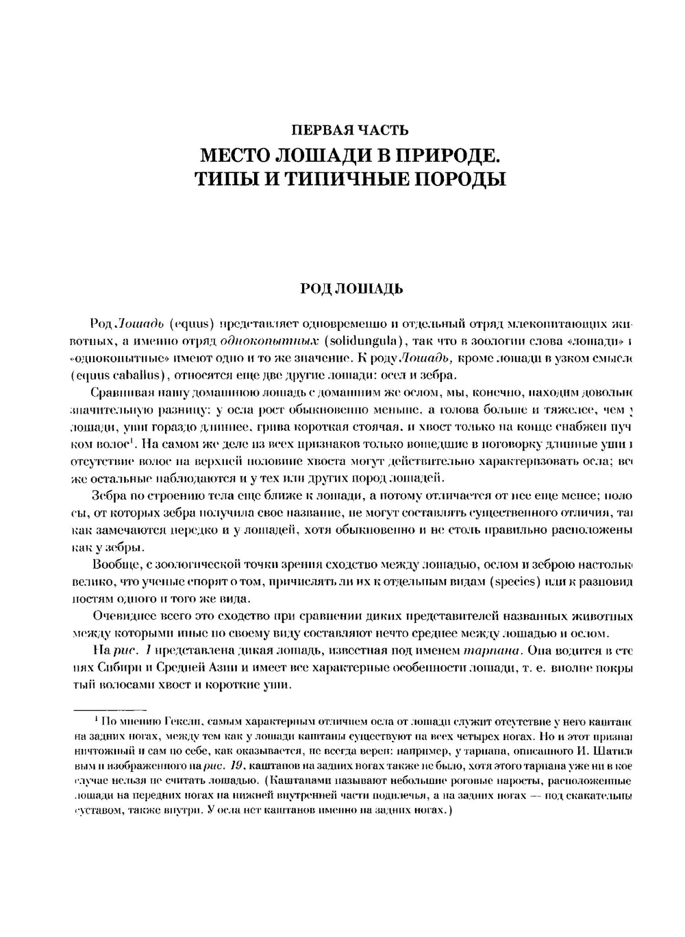 Лошади. Конские породы | Л. Симонов; И. Мердер