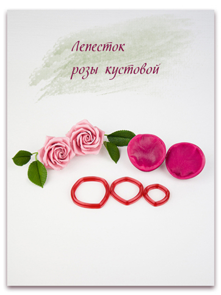 Лепесток розы кустовой