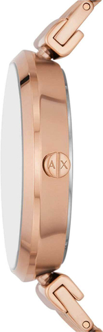 Женские наручные часы Armani Exchange AX5915