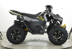 Квадроцикл бензиновый MOTAX GRIZLIK RAPTOR D125 LUX (3+1)