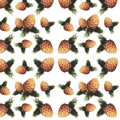 Шишки (На Белом)