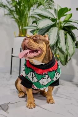 Для собачки