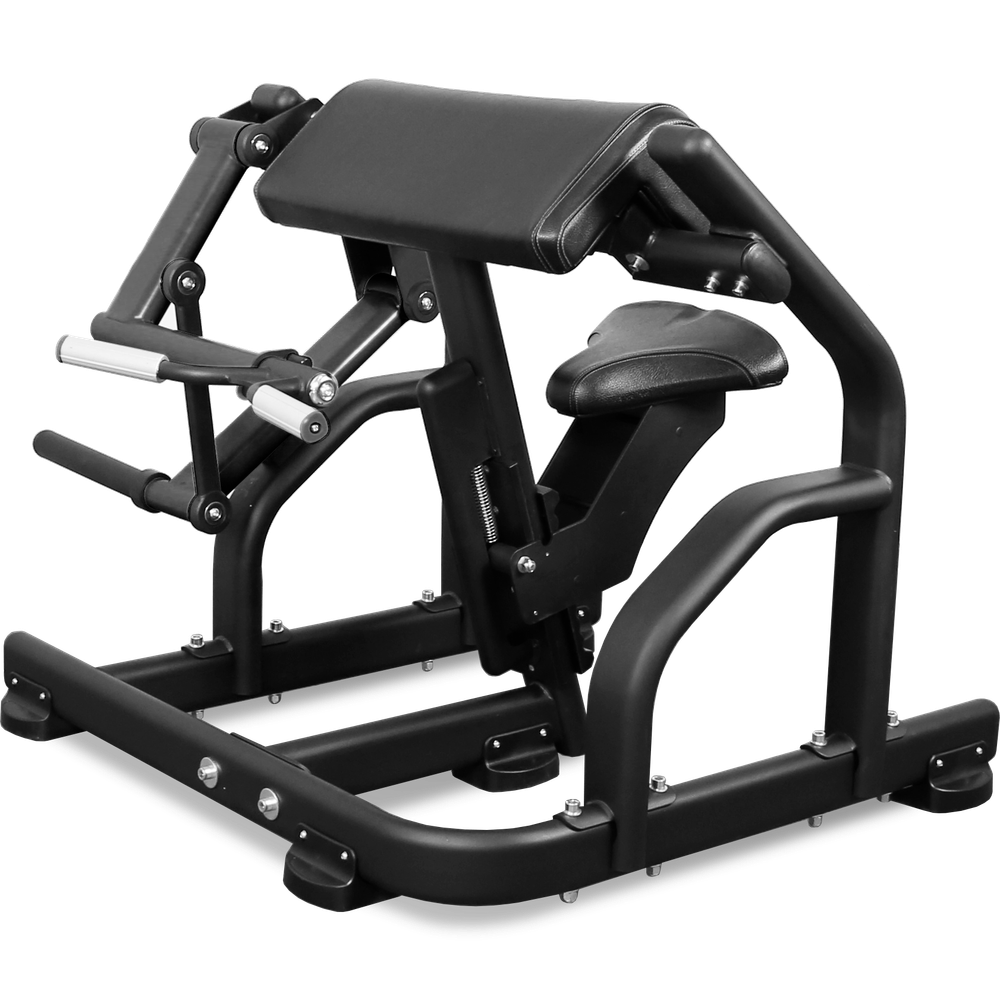 Бицепс профессиональный BRONZE GYM PL-1713