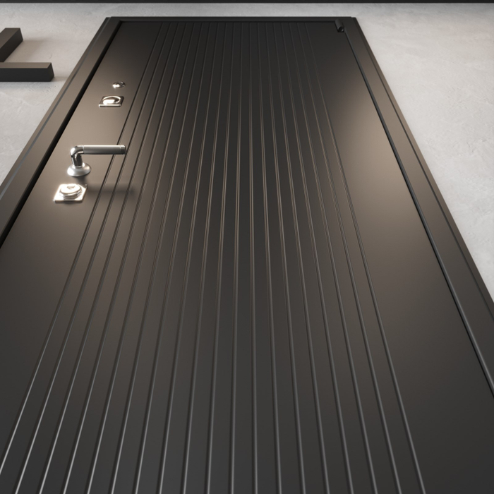 Входная дверь XL с зеркалом