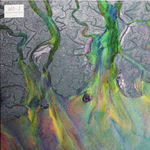 Alt-J / An Awesome Wave (LP)
