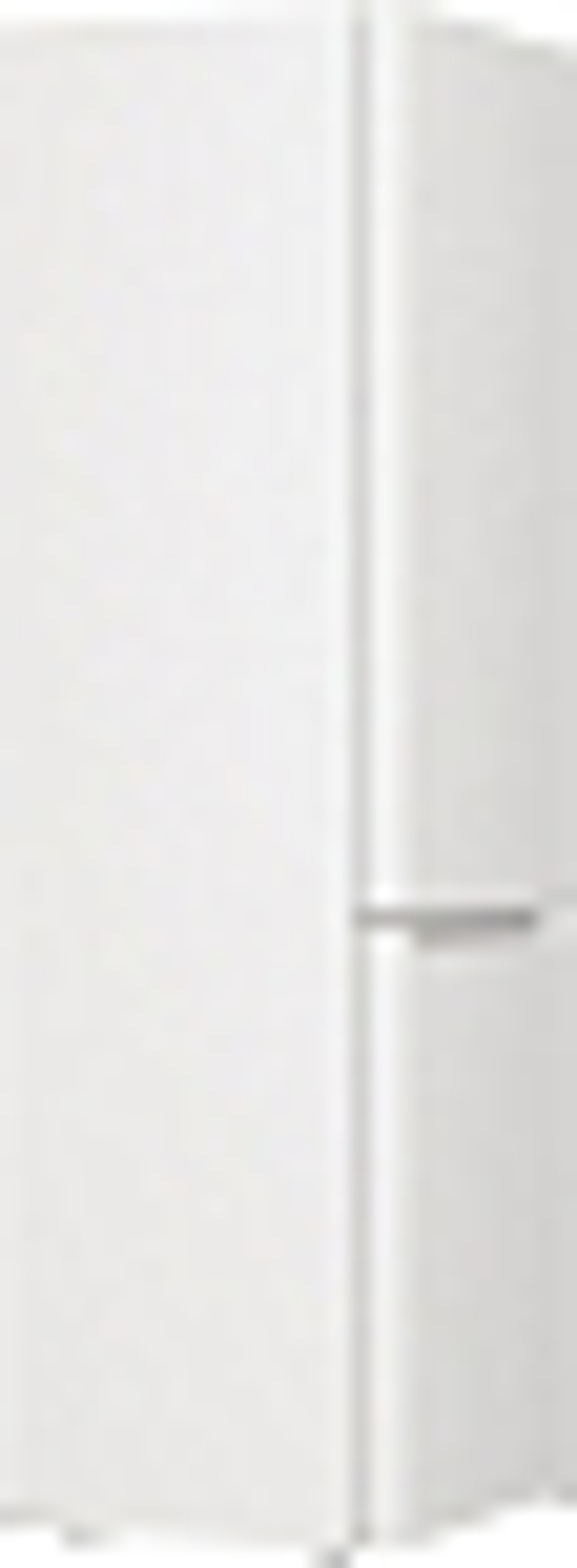 Отдельностоящий двухкамерный холодильник Gorenje RK6201EW4