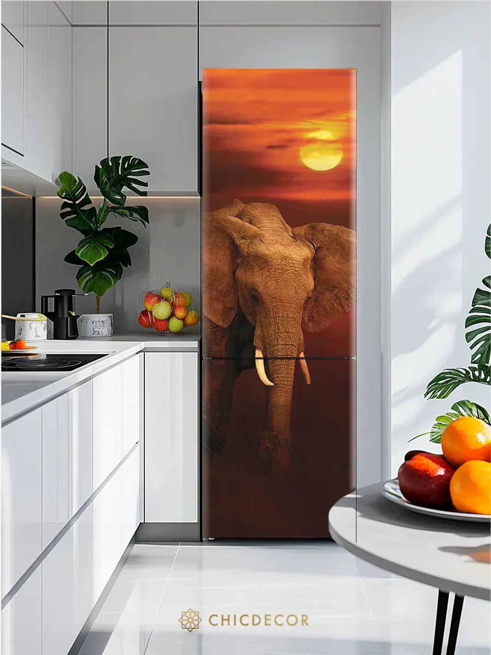 Наклейка интерьерная на холодильник Слон и солнце