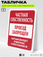 Табличка для частной территории "Частная собственность, проход запрещен", на дом, для участка, организаций, предупреждающая, 40х30 см, Silver Plane x Айдентика Технолоджи