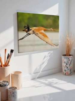 Картина на стену 40 X 50 Птицы