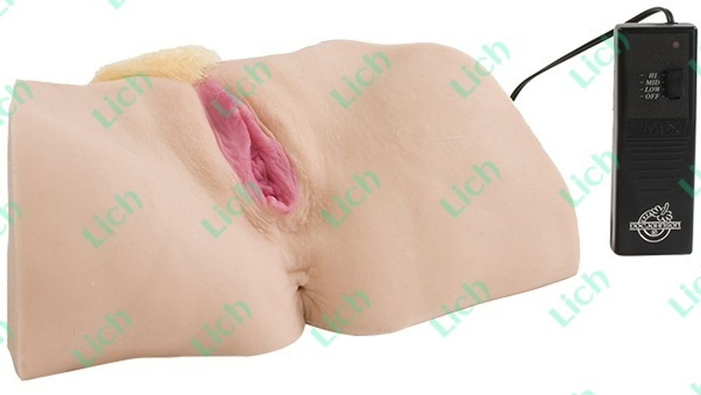 Вагина и анус с вибратором - Тиффани Минкс