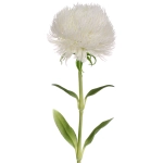 Цветок искусственный «Natur» 50см Кариофиллум белый