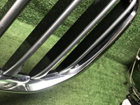 Решетка радиатора BMW X7 G07 (2019-2022)