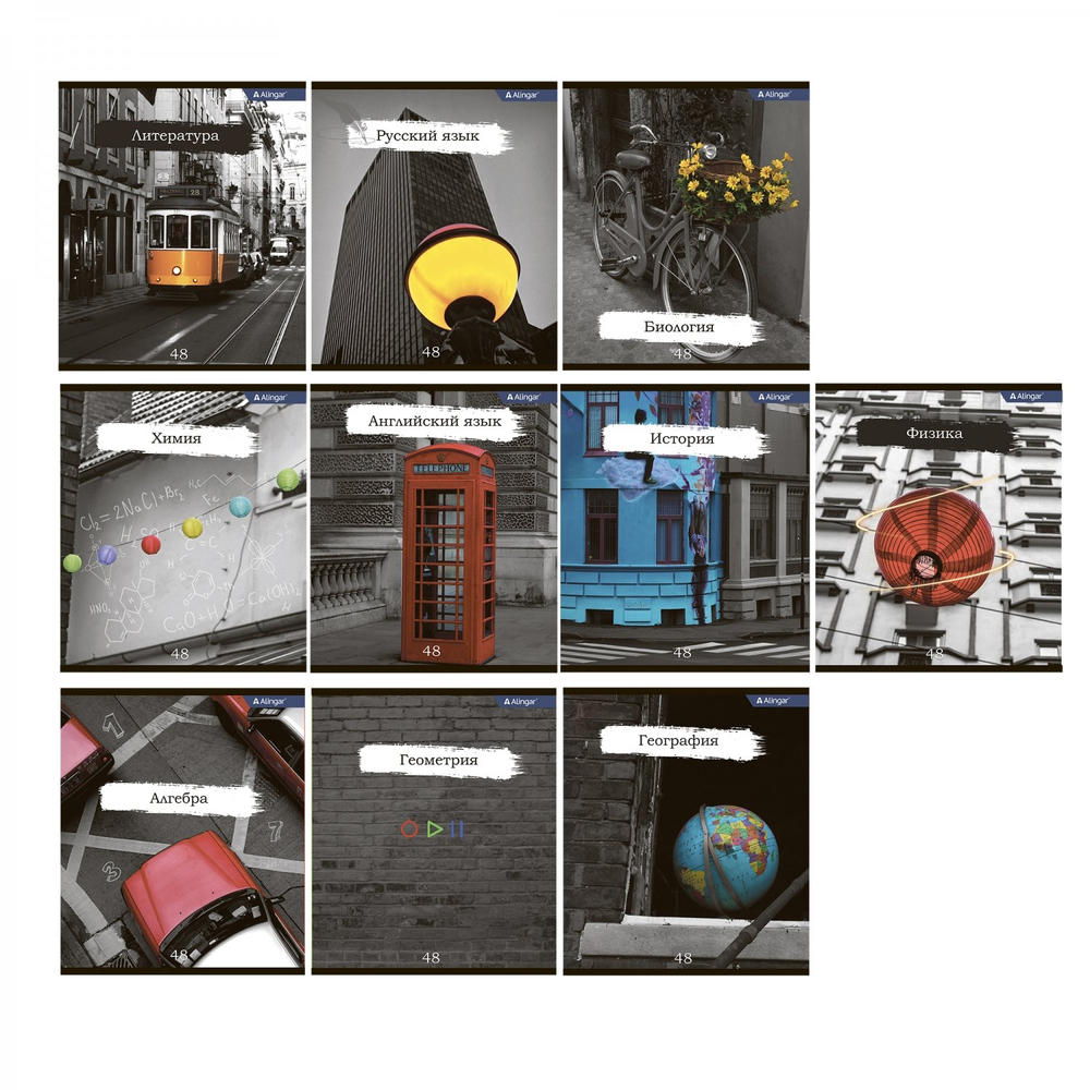 Комплект предметных тетрадей А5 48л.,10 предм., со справочным материалом, скрепка, мелованный картон(стандарт), блок офсет, Alingar "Город контрастов"
