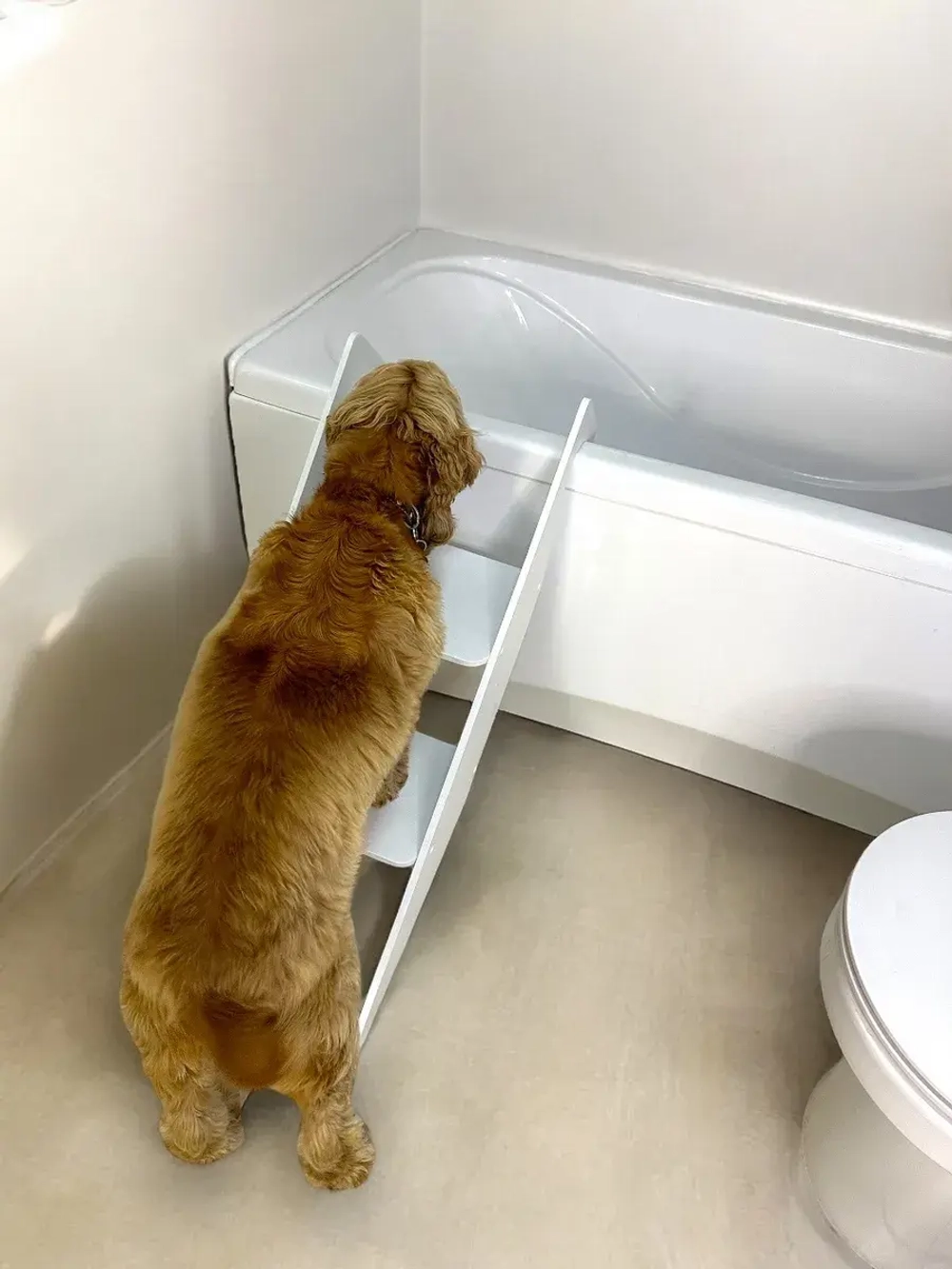 Лестница для собак средних и крупных пород в ванную