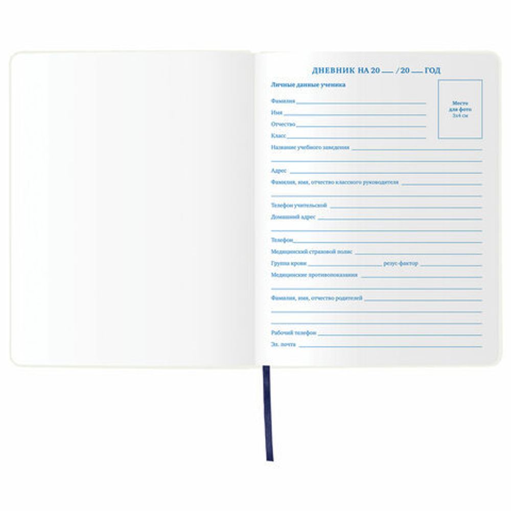 Дневник 1-11 класс 48 л., обложка кожзам (гибкая), термотиснение, фольга, BRAUBERG, "МЕДВЕДЬ", 105969