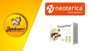 Акция ХондроНео