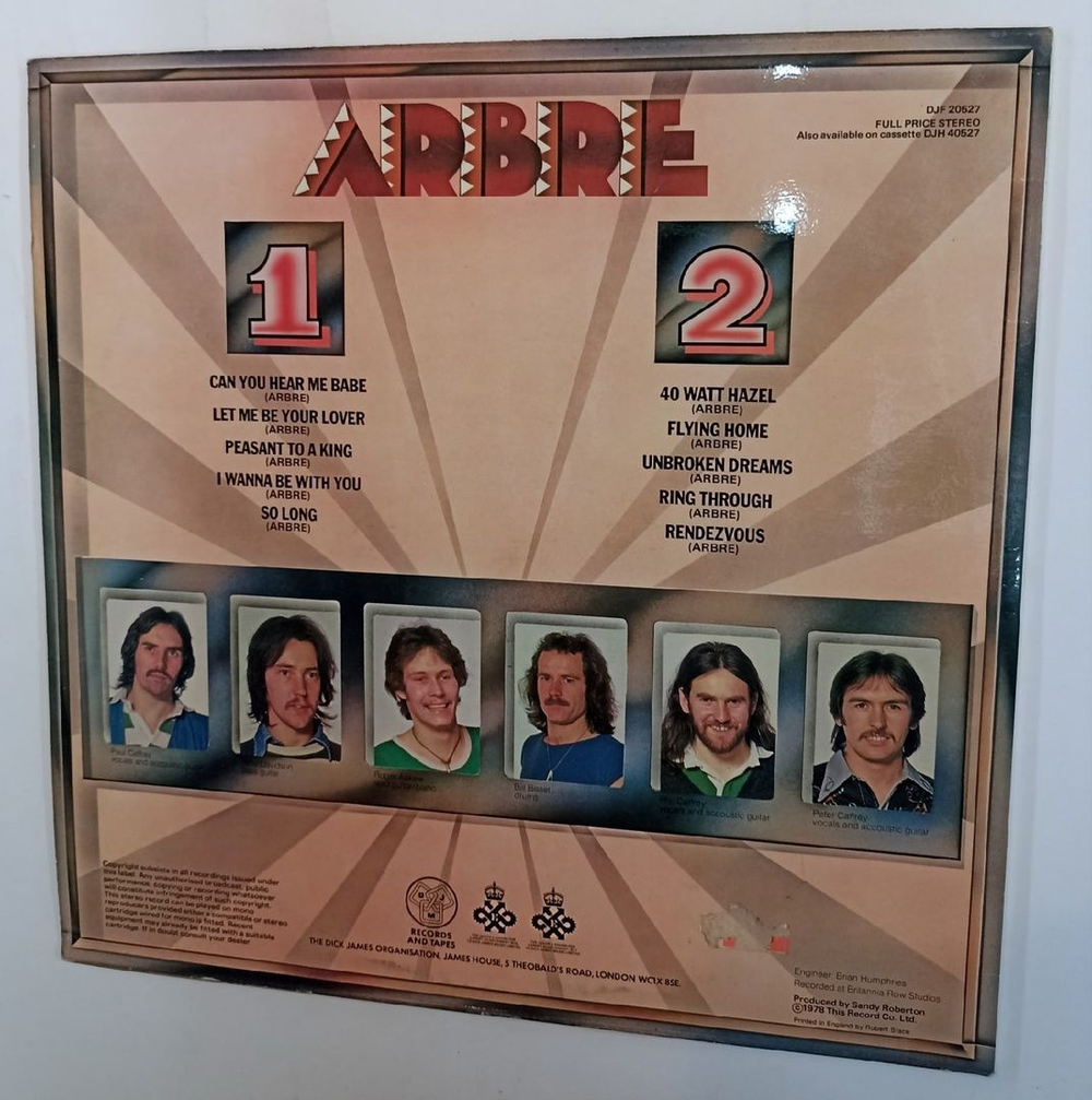 Винтажная виниловая пластинка Arbre Arbre (UK 1978)