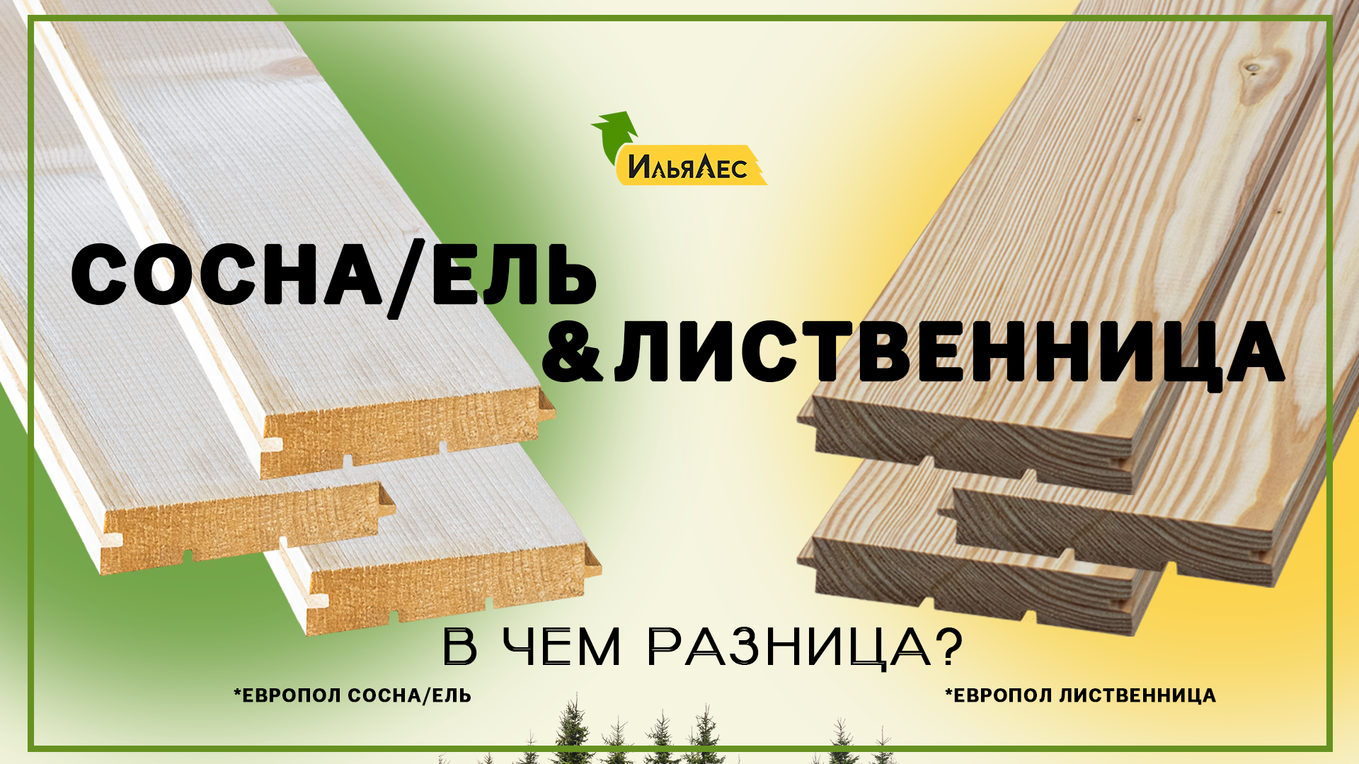 Чем же отличаются пиломатериалы из сосны, ели и лиственницы?