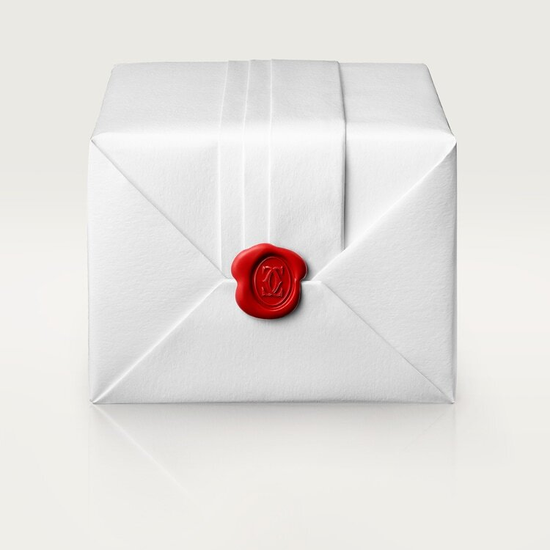 Часы Cartier Santos-Dumont large model