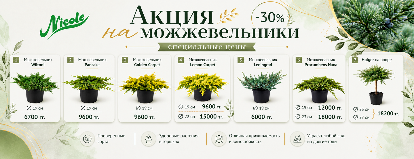 Садовый центр Nicole 