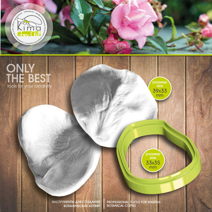 Роза кустовая рубашка