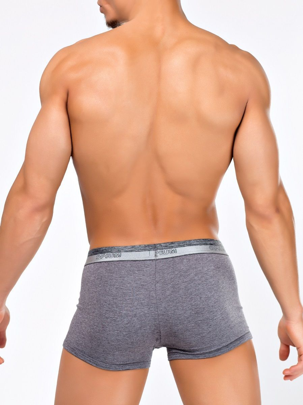Мужские боксеры с шелковистой брендированной резинкой (Размер: L) (Цвет: серый меланж)