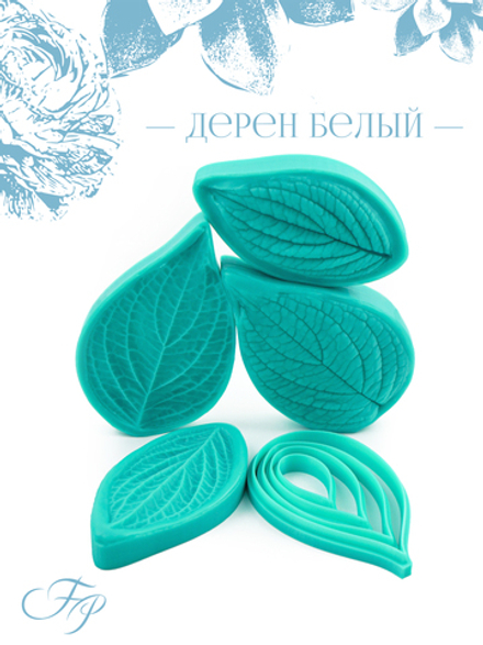 Дерен белый Сибирика