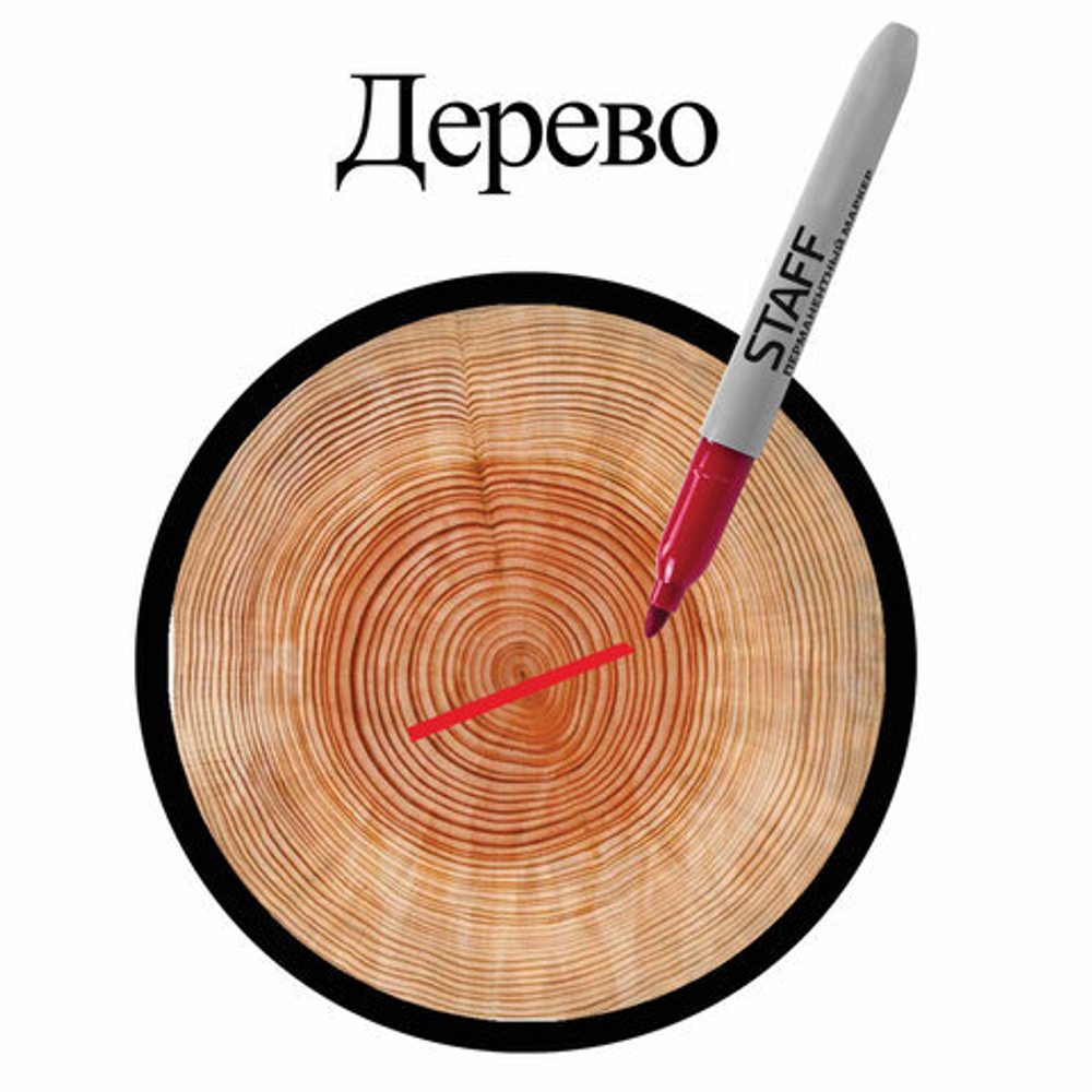 Маркер перманентный (нестираемый) STAFF "EVERYDAY", КРАСНЫЙ, эргономичный корпус, круглый наконечник, 2 мм, 151235