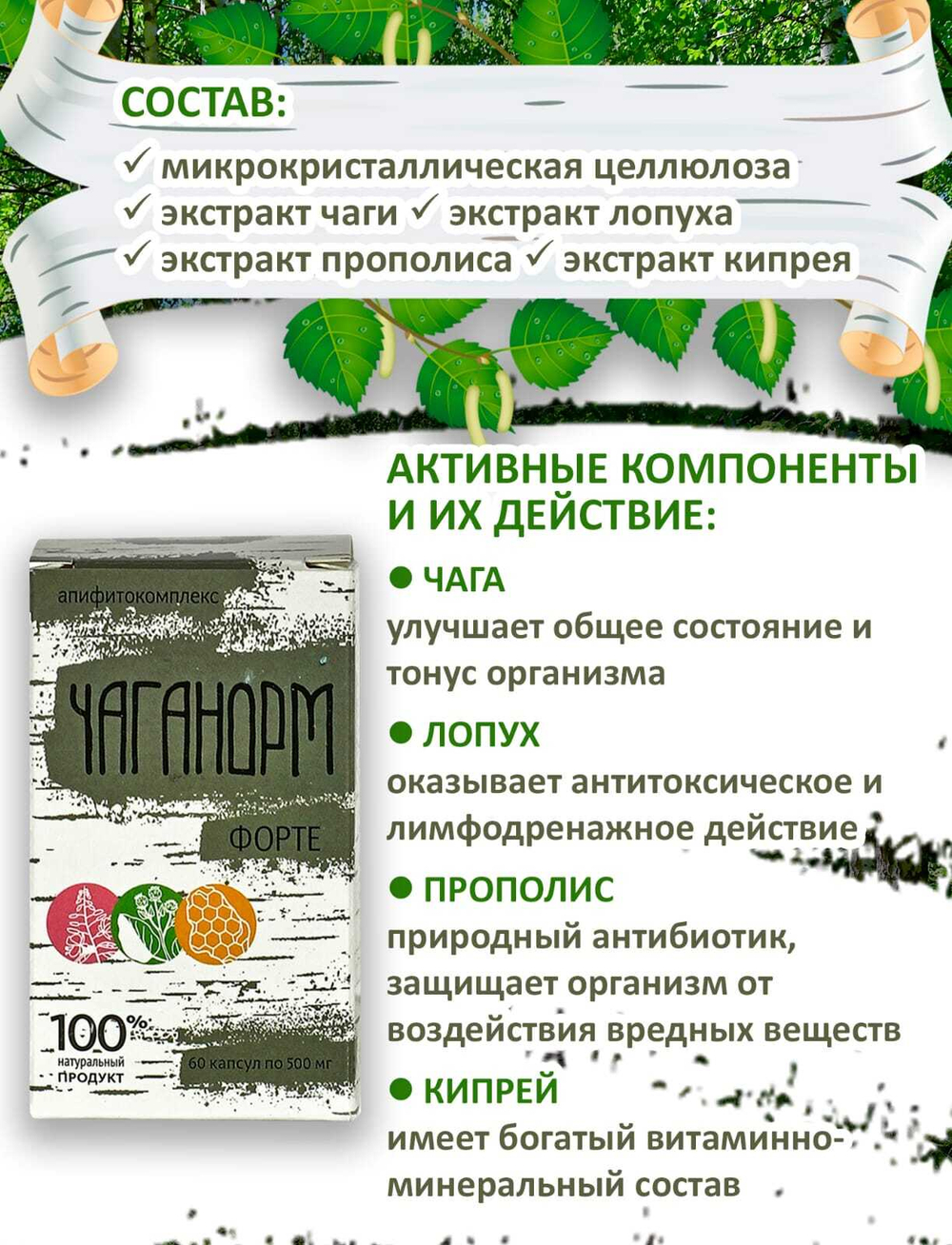 Фитокомплекс Чаганорм форте, 60 шт