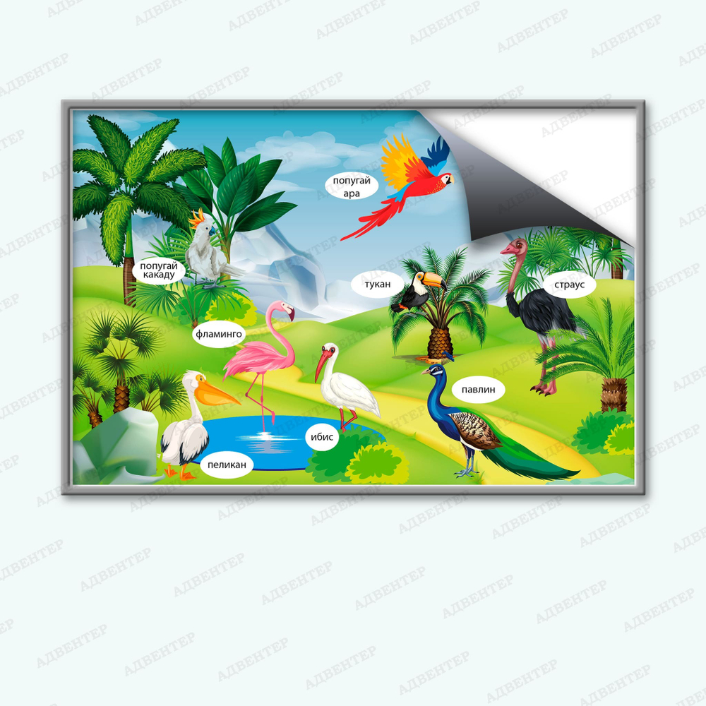 Комплект развивающий Природа: Южные птицы 2192