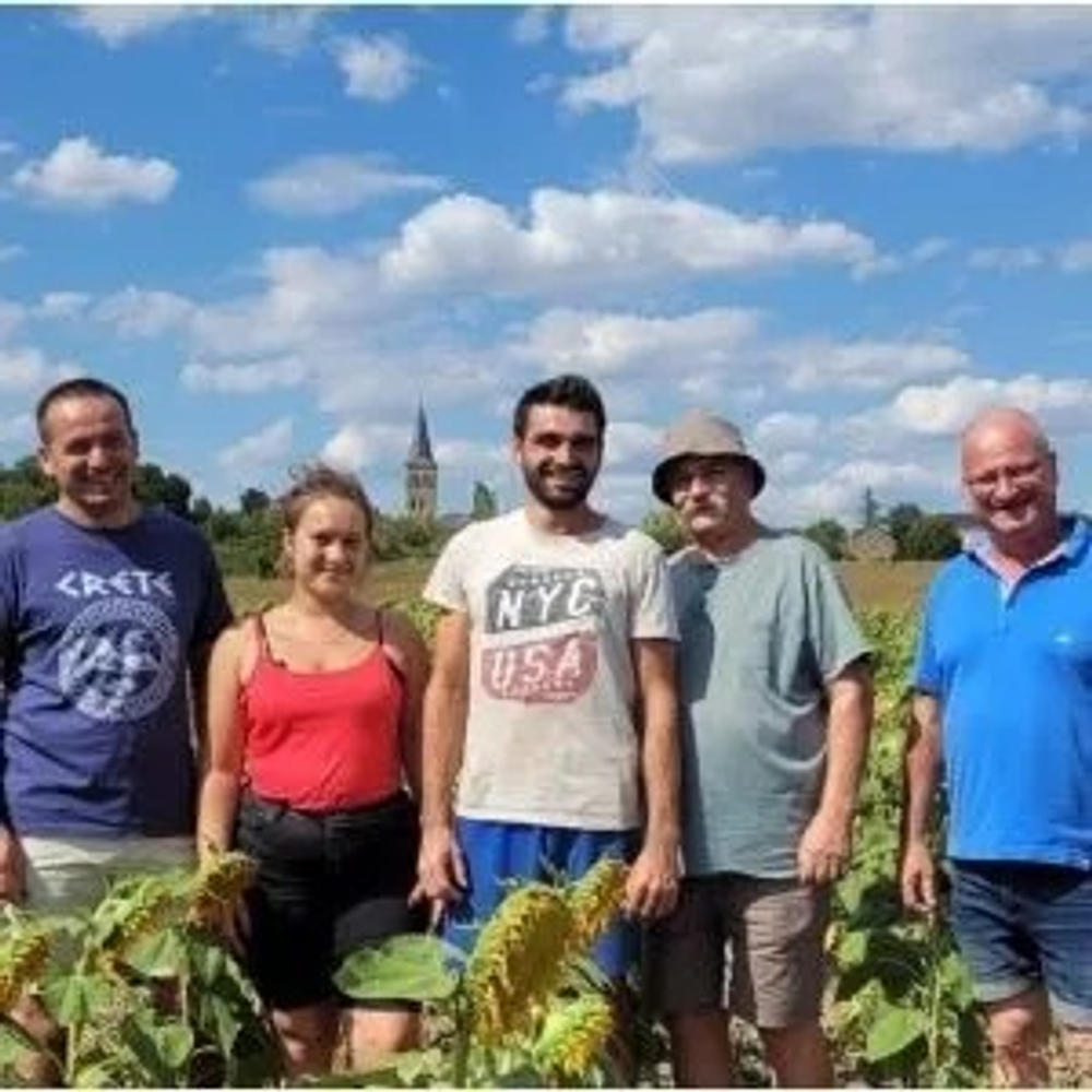 Подсолнечное Масло, Нерафинированное, Первого Холодного Отжима, 500 мл., La Tourangelle