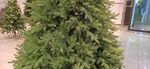 Искусственная ель «Берген» (Литая хвоя) 150 см / 1.5 м