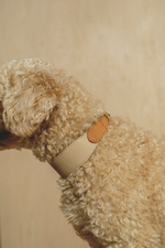 Ошейник "Пони-узелкони" Бежево-рыжий