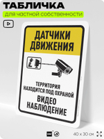 Табличка для частной территории "Датчики движения", на дом, для участка, организаций и частных территорий, предупреждающая, 40х30 см, Silver Plane x Айдентика Технолоджи