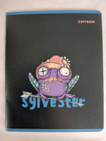 Тетради 48 листа А5+.  "Сильвестр", общая, клетка. Формат А5+ (163*203 мм). Арт.120008. С полями. Комплект 5 шт.