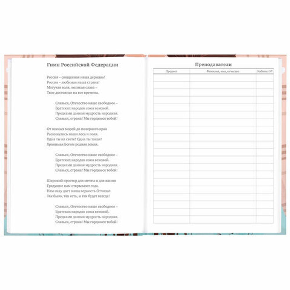 Дневник 5-11 класс 48 л., твердый, BRAUBERG, глянцевая ламинация, с подсказом, "Summer girl", 106882