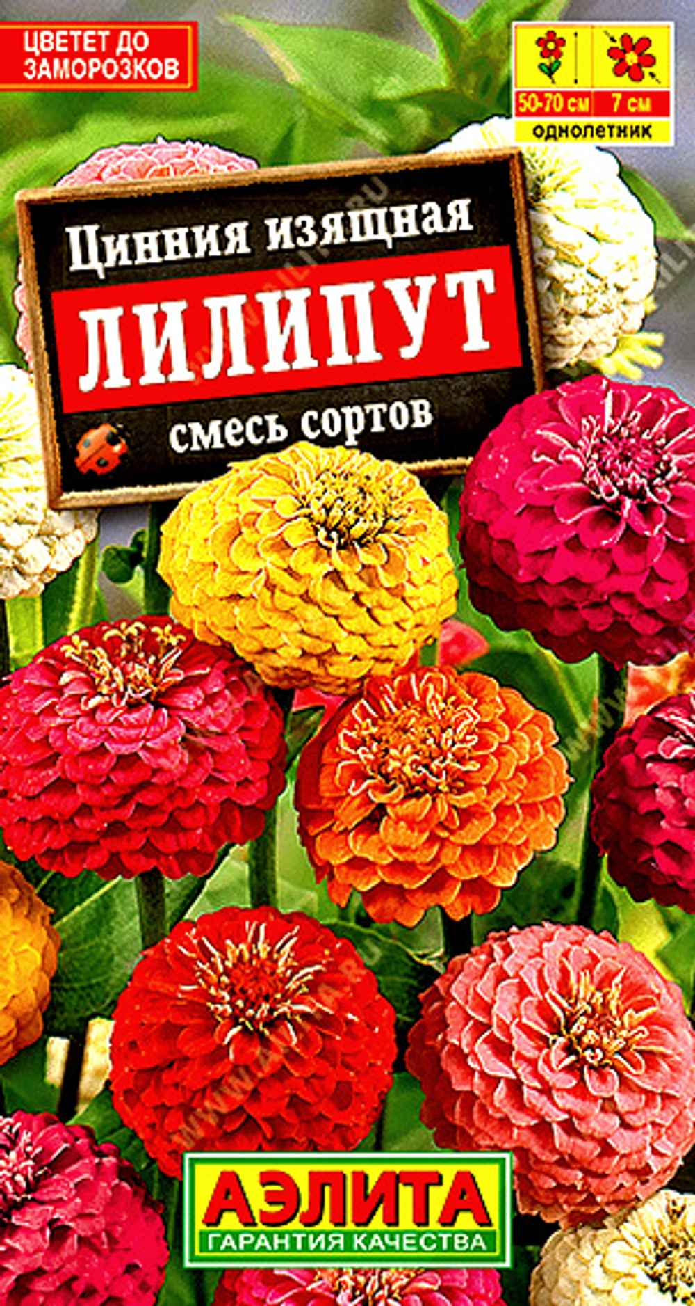 Цинния Лилипут, смесь сортов