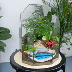 Готовый флорариум бонсай Японский вяз Бонсариум XL с озером