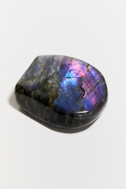 Срез Лабрадора M