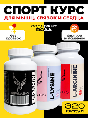 Сила и восстановление: курс аминокислот для спортсменов