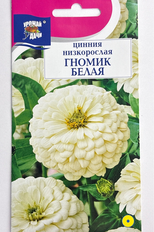 Цинния Гномик белая 0,1 г СМЦ-325