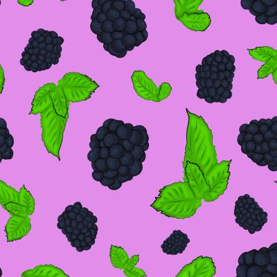 Ежевика с листьями мяты на фиолетовом фоне