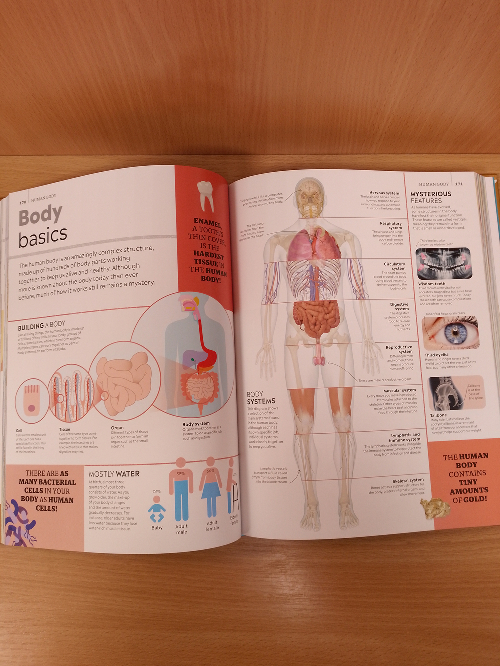 DK Eyewitness Encyclopedia of Everything The Ultimate Guide to the World Around You. Hardcover